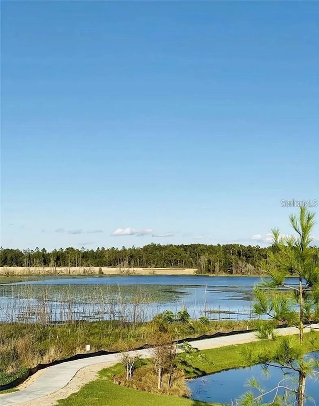 2807 Alder Berry Blvd, Ocoee, FL 34761 - water view