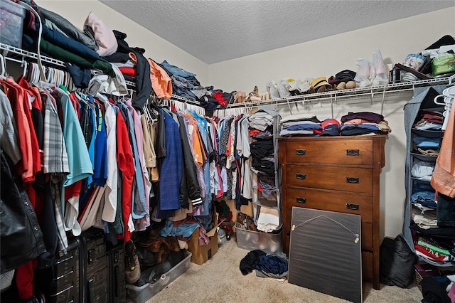 750 Maple Leaf Loop, Winter Springs, FL 32708 - spacious closet with carpet