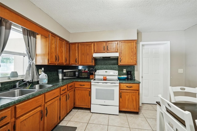 6663 NW 60th St, Ocala, FL 34482 - kitchen with white electric stove, stainless steel microwave, under cabinet range hood, a sink, and decorative backsplash