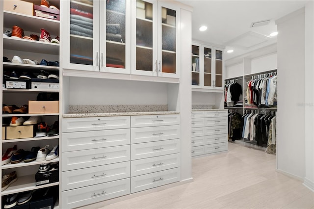 9138 Great Heron Cir, Orlando, FL 32836 - spacious closet with light wood-style flooring