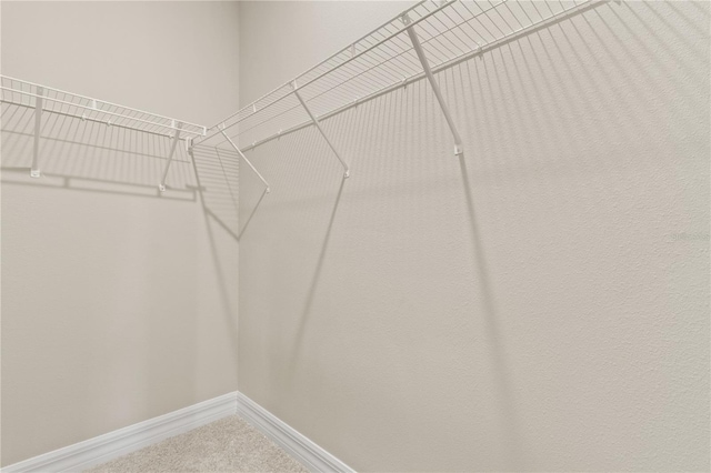 3672 Rollin O Ln, Apopka, FL 32703 - walk in closet featuring carpet floors