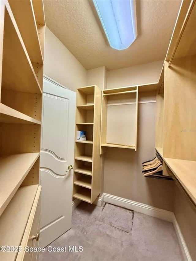 1175 Tuckaway Dr, Rockledge, FL 32955 - view of walk in closet