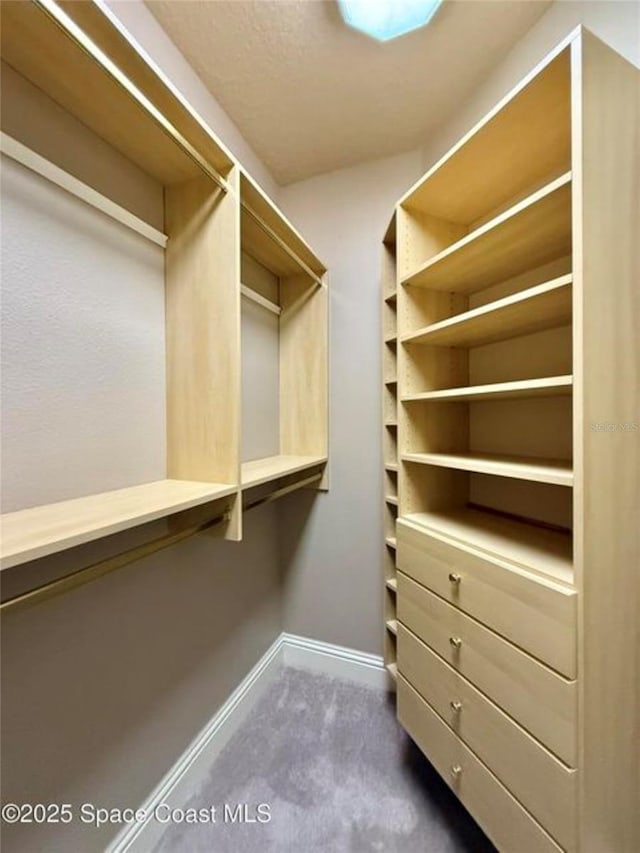 1175 Tuckaway Dr, Rockledge, FL 32955 - walk in closet with dark carpet