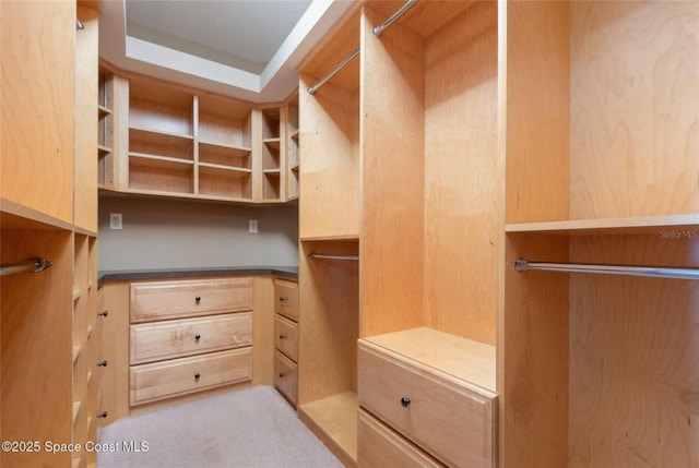 1175 Tuckaway Dr, Rockledge, FL 32955 - spacious closet with carpet floors