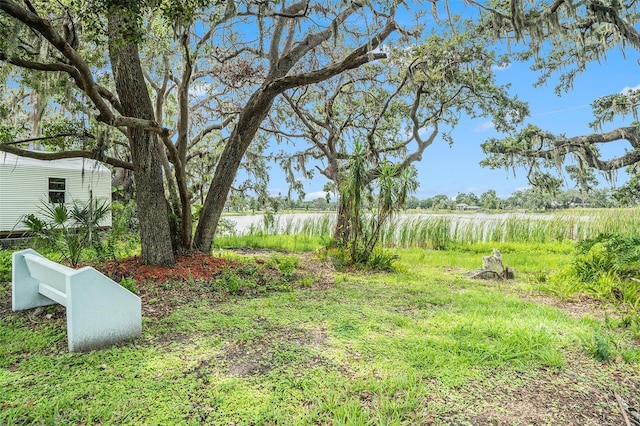 14050 Blackjack Rd, Dover, FL 33527 - photo 18