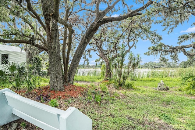 14050 Blackjack Rd, Dover, FL 33527 - photo 17