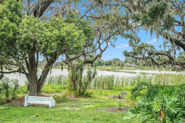 14050 Blackjack Rd, Dover, FL 33527 - photo 19