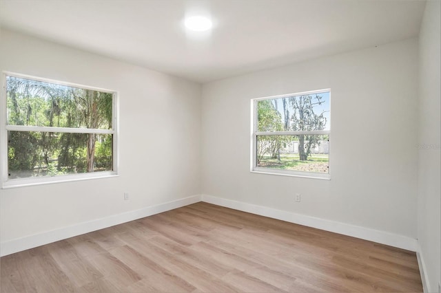 14050 Blackjack Rd, Dover, FL 33527 - photo 32