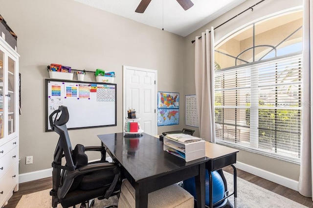 610 Strihal Loop, Oakland, FL 34787 - home office with baseboards, dark wood-style floors, and healthy amount of natural light