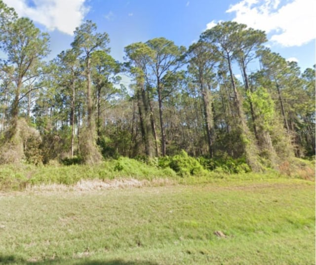 Georgetown Denver Rd, Georgetown, FL 32139