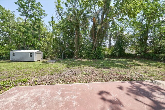 881 Cedar Cir, Tavares, FL 32778 - view of grassy yard