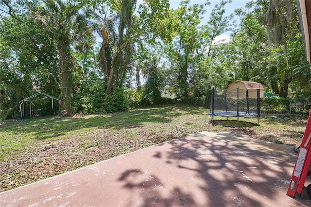 881 Cedar Cir, Tavares, FL 32778 - view of green lawn with a trampoline and a patio area