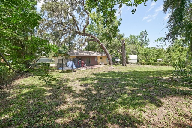881 Cedar Cir, Tavares, FL 32778 - view of green lawn featuring a trampoline