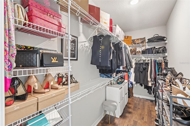 16013 Tollington Aly, Winter Garden, FL 34787 - walk in closet with wood finished floors