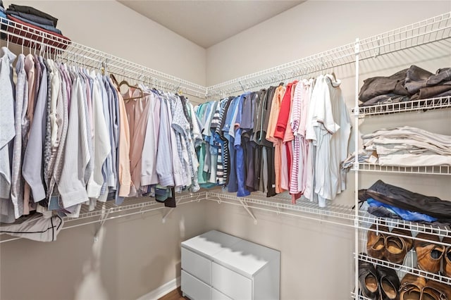 16013 Tollington Aly, Winter Garden, FL 34787 - view of walk in closet