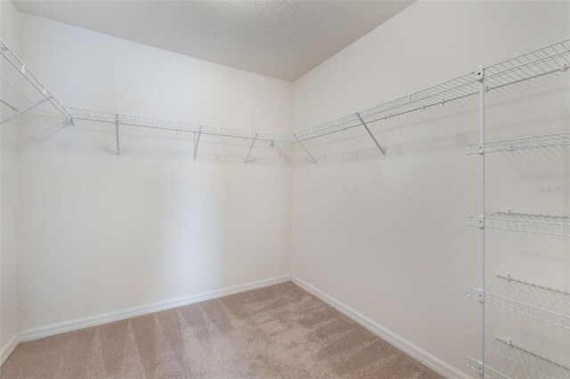 15477 Blackbead St, Winter Garden, FL 34787 - walk in closet featuring light carpet
