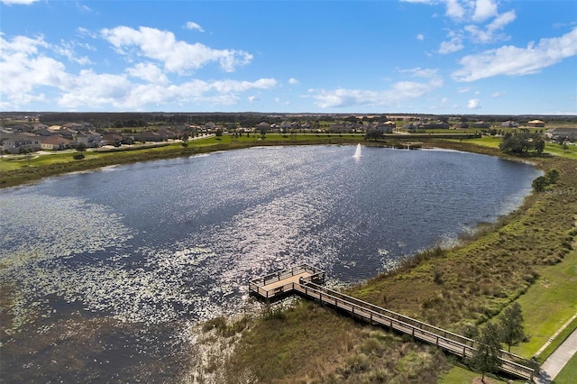 15477 Blackbead St, Winter Garden, FL 34787 - water view