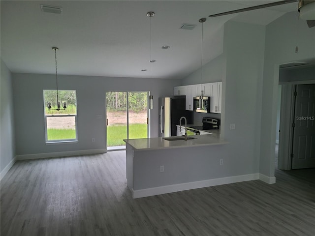 4333 SW 157th Ter, Ocala, FL 34481 - kitchen featuring appliances with stainless steel finishes, wood finished floors, lofted ceiling, baseboards, and white cabinets