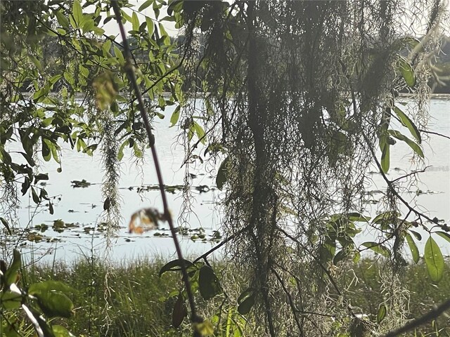 Villa City Rd, Groveland, FL 34736 - photo 6