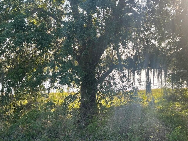 Villa City Rd, Groveland, FL 34736 - photo 7