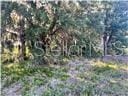 Villa City Rd, Groveland, FL 34736 - photo 9