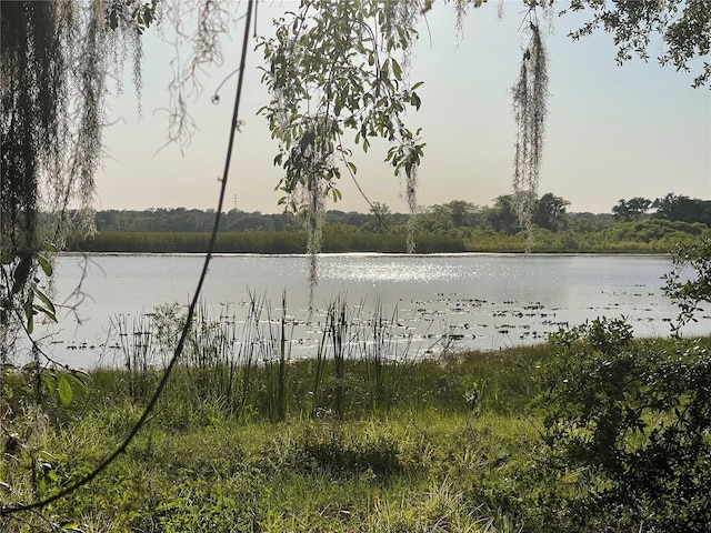 Villa City Rd, Groveland, FL 34736 - photo 10