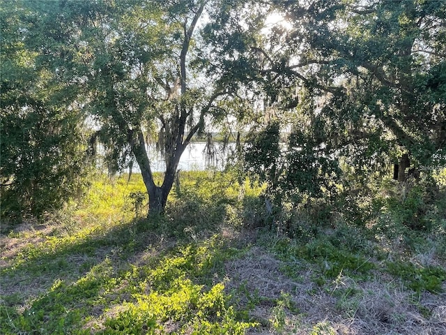 Villa City Rd, Groveland, FL 34736 - photo 12