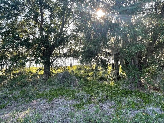 Villa City Rd, Groveland, FL 34736 - photo 14