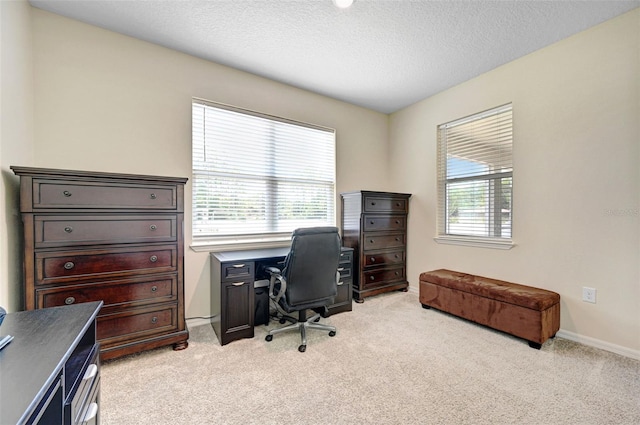 998 Sorrel St NW, Palm Bay, FL 32907 - office space featuring light carpet, a textured ceiling, and baseboards