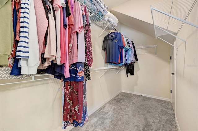 998 Sorrel St NW, Palm Bay, FL 32907 - walk in closet featuring carpet flooring