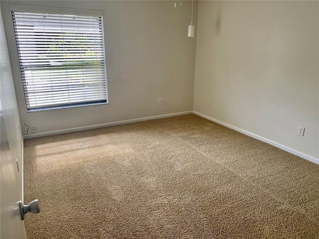 1110 Woodbine St, Fern Park, FL 32730 - unfurnished room featuring carpet and baseboards