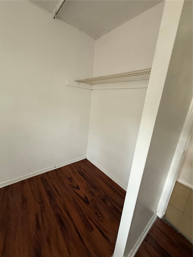 914 SW 8th Ave Unit 14, Gainesville, FL 32601 - walk in closet with wood finished floors