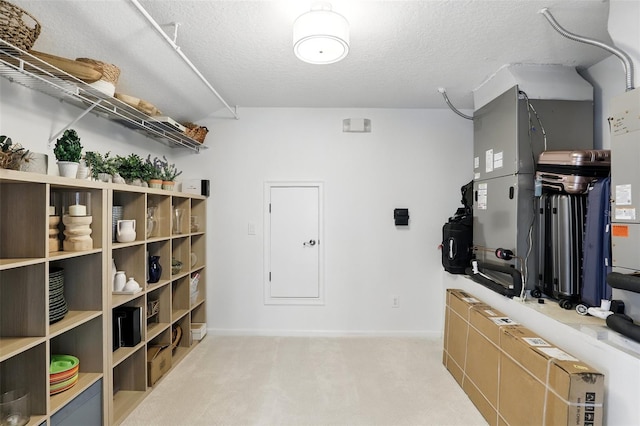 2908 Lee Shore Loop, Orlando, FL 32820 - view of storage