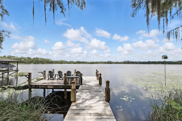 2908 Lee Shore Loop, Orlando, FL 32820 - dock area with a water view
