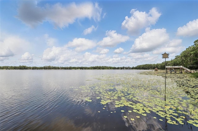 2908 Lee Shore Loop, Orlando, FL 32820 - water view