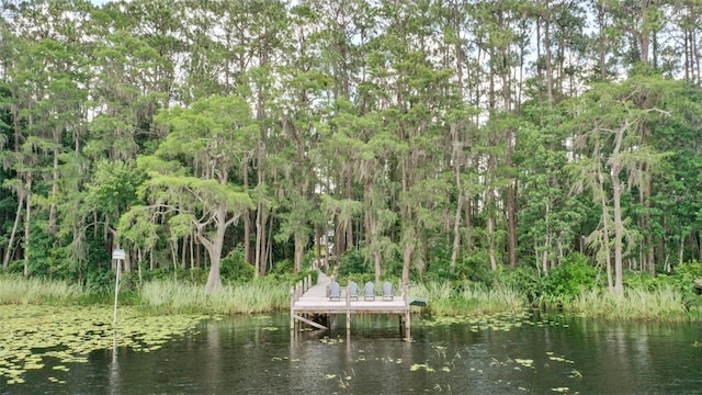 2908 Lee Shore Loop, Orlando, FL 32820 - dock area with a water view
