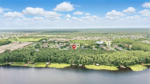 2908 Lee Shore Loop, Orlando, FL 32820 - bird's eye view of a large body of water
