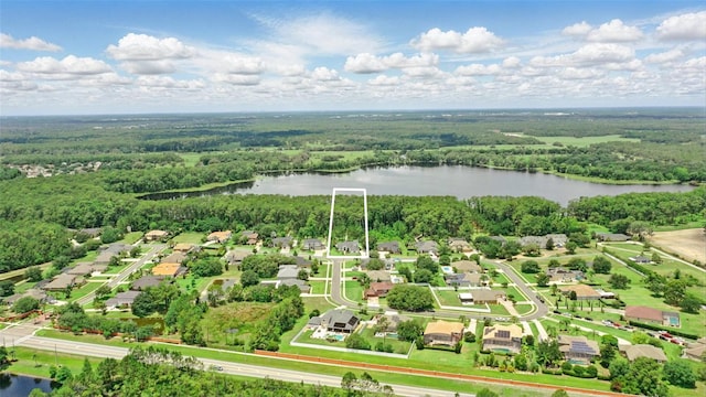 2908 Lee Shore Loop, Orlando, FL 32820 - aerial perspective of suburban area with a nearby body of water and a forest