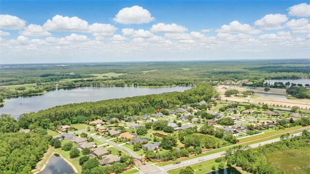 2908 Lee Shore Loop, Orlando, FL 32820 - aerial view of residential area with a large body of water and a heavily wooded area