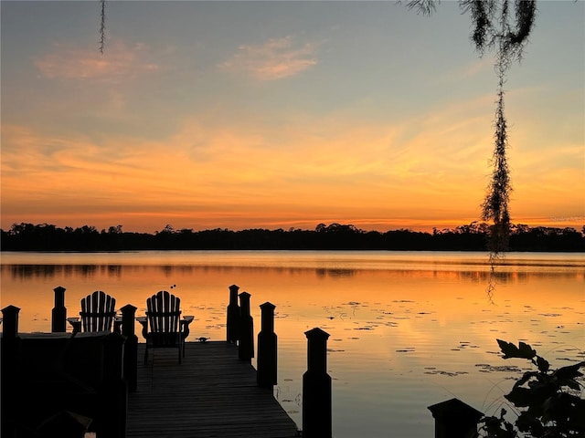 2908 Lee Shore Loop, Orlando, FL 32820 - dock with a water view
