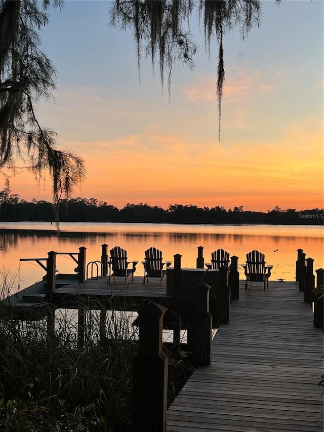 2908 Lee Shore Loop, Orlando, FL 32820 - dock with a water view