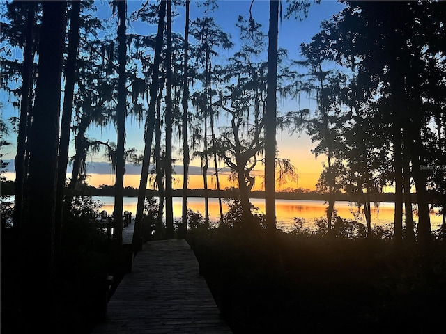 2908 Lee Shore Loop, Orlando, FL 32820 - dock area featuring a water view