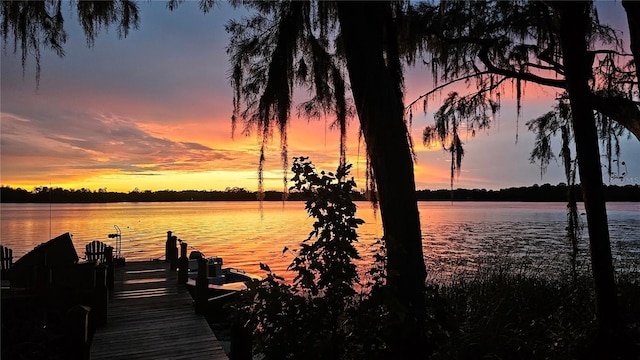 2908 Lee Shore Loop, Orlando, FL 32820 - dock with a water view