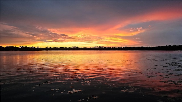2908 Lee Shore Loop, Orlando, FL 32820 - water view