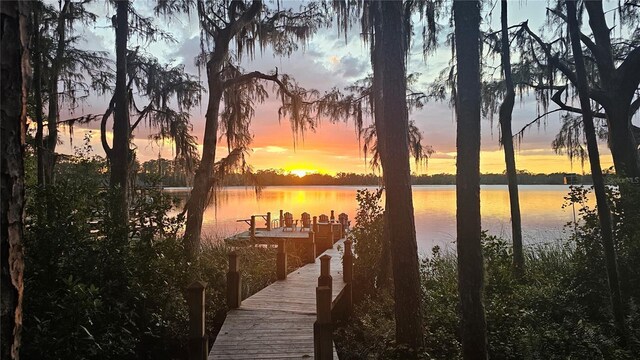 2908 Lee Shore Loop, Orlando, FL 32820 - dock area with a water view