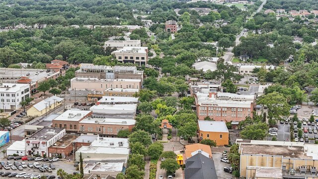 405 Courtlea Park Dr, Winter Garden, FL 34787 - aerial view