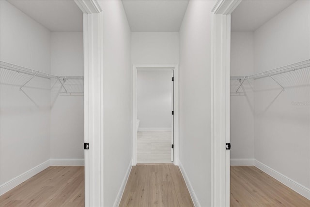 14915 SW 39th Cir, Ocala, FL 34473 - walk in closet featuring light wood-style floors
