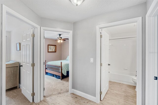 2913 Wilshire Rd, Clermont, FL 34714 - hall with light wood-style floors and a textured ceiling
