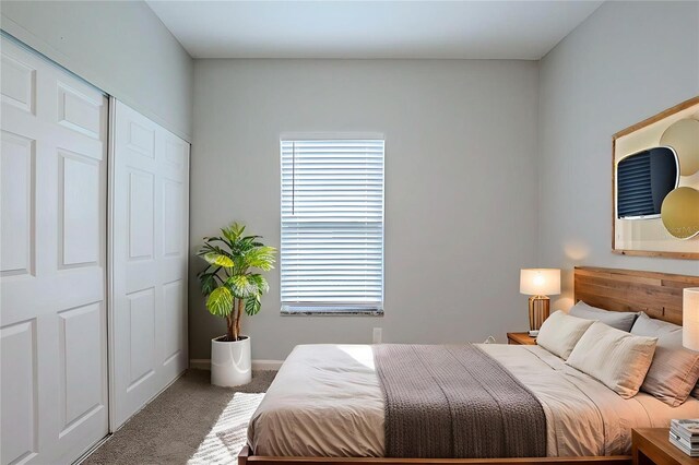2929 18th Ave S, Saint Petersburg, FL 33712 - photo 14