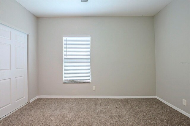 2929 18th Ave S, Saint Petersburg, FL 33712 - photo 20